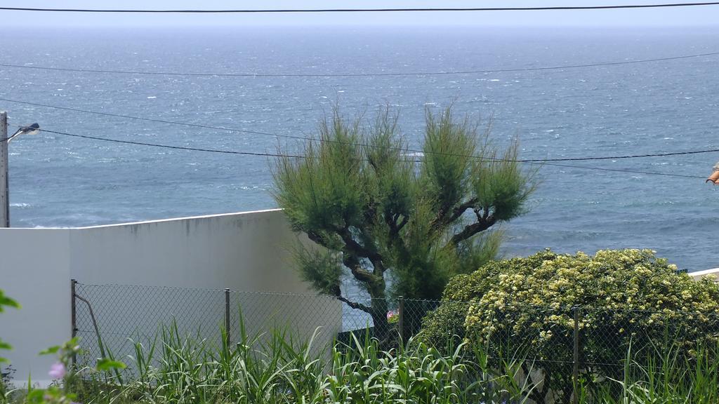 Santa Cruz Ocean Apartment - II Extérieur photo
